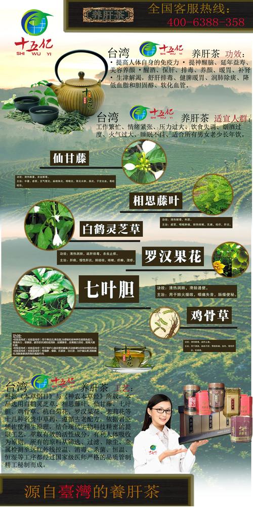 28853852号交稿-任务:设计张有关台湾十五亿养肝茶产品广告宣传图纸 -